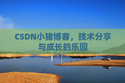 CSDN小猪博客，技术分享与成长的乐园